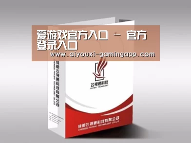 项目名称十三