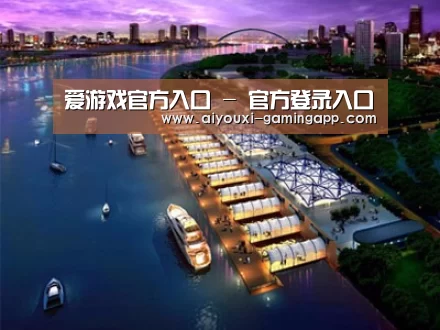 案例展示八