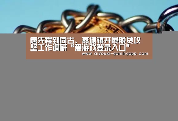 唐先程到同古、燕塘镇开展脱贫攻坚工作调研“爱游戏登录入口”(图3) 爱游戏体育官方网站