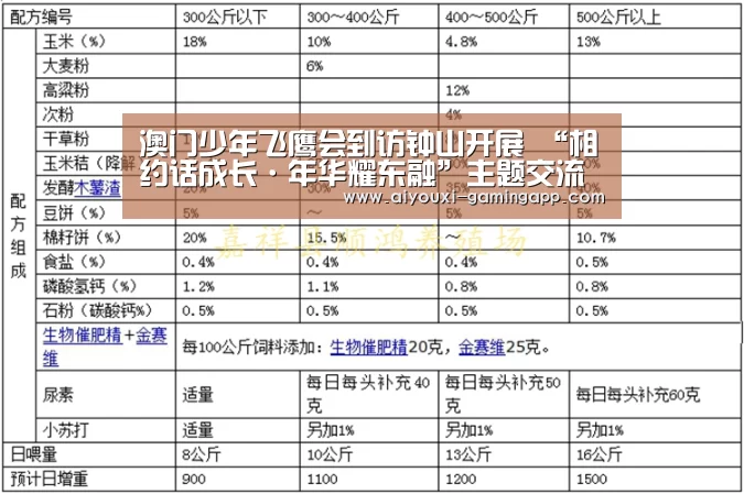 爱游戏登录入口