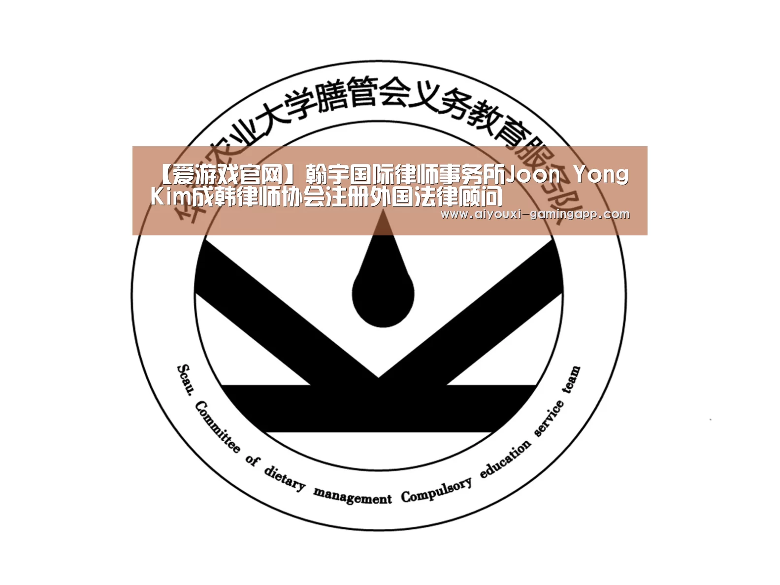 爱游戏体育官方网站