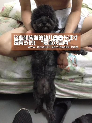 这些机构发的幼儿园园长证才是有效的!“爱游戏官网”(图2) 爱游戏体育官方网站