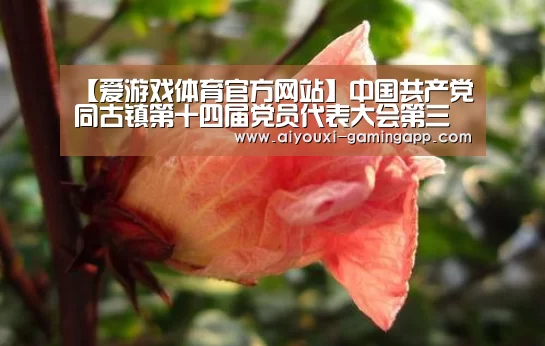 【爱游戏体育官方网站】中国共产党同古镇第十四届党员代表大会第三次全体会议胜利召开(图1) 爱游戏官网