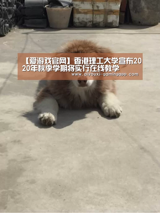 【爱游戏官网】香港理工大学宣布2020年秋季学期将实行在线教学(图1) 爱游戏官网