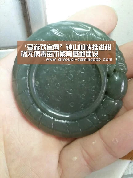 ‘爱游戏官网’钟山加快推进柑橘无病毒苗木繁育基地建设(图1) 爱游戏官方入口