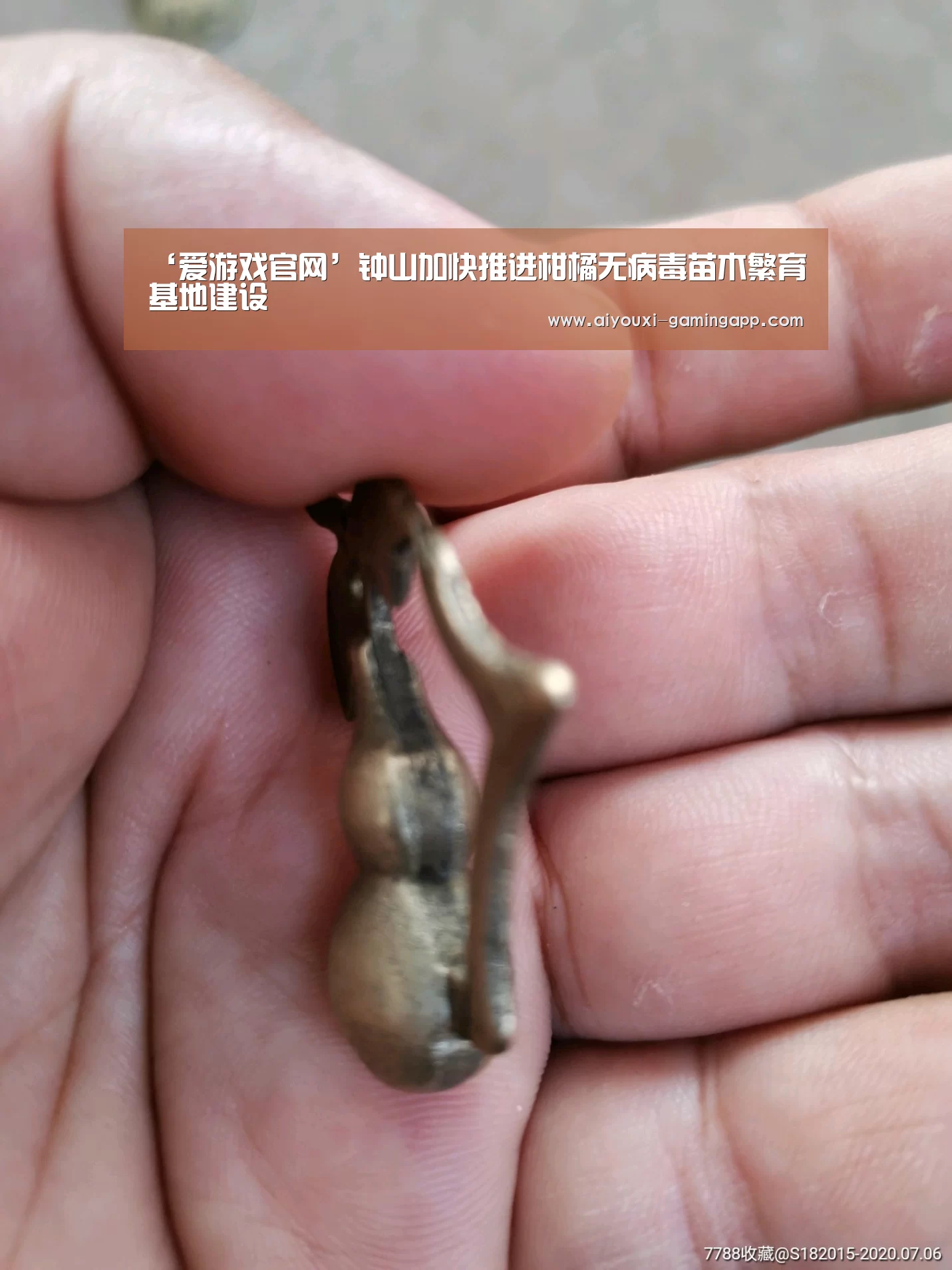 ‘爱游戏官网’钟山加快推进柑橘无病毒苗木繁育基地建设(图3) 爱游戏官方入口