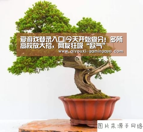 爱游戏登录入口|今天开始查分!多所高校放大招,网友狂吸“欧气”(图1) 爱游戏登录入口