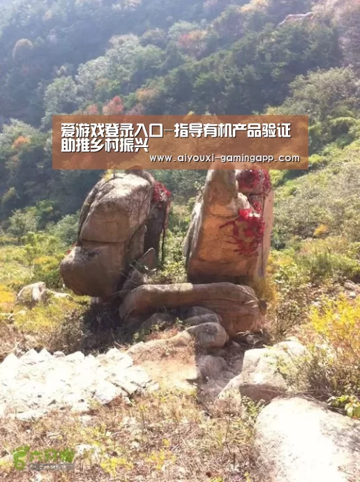爱游戏官网