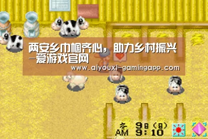 两安乡巾帼齐心,助力乡村振兴-爱游戏官网(图3) 爱游戏体育官方网站
